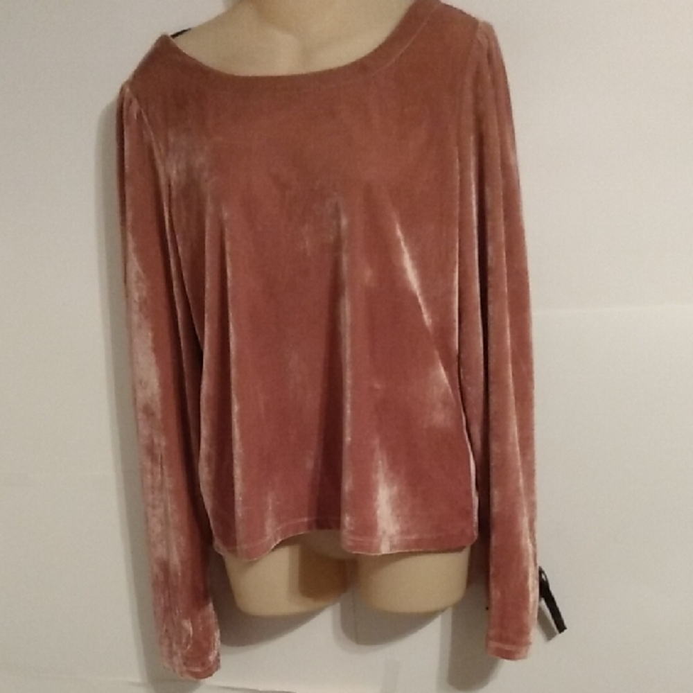 Pink Velvet Goth Rhenfair Festival Dark Academia Blouse Top Anthropologie Large